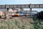 13th March 1991
