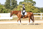 SBM_007529