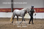 BPP_2669
