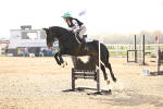 SBM_003397