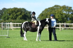SBM_36814