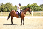SBM_003734