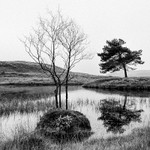 Kelly Hall Tarn 12