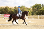 SBM_003373