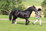 SIAL6290