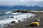 Beagle Channel