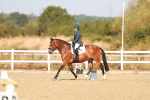 SBM_016701