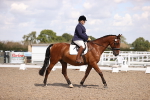 SBM_03633