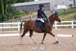Dressage Competition portfolio