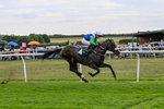 Race 5 16:15 Oops A Daisy Handicap portfolio