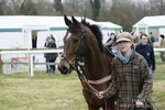 Hampshire Hunt Point-to-Point Hackwood Park 11/03/18 portfolio