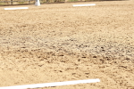 SBM_000835