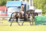 SBM_12275