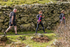 Buttermere-1017