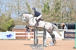 Cls 0+1 Clear Round, British Novice and 90cm portfolio