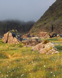 Mountain Scene