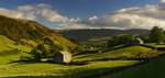 Upper Swaledale      ref pan4