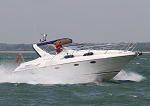 100606 ODIN IMG_0056