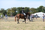 WJ6_8338