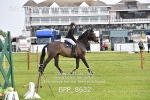 BPP_8632