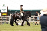 SBM_07116