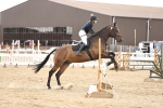 SBM_003195