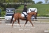 BPP_6075