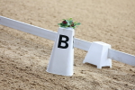 SBM_007608