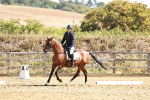 SBM_000766