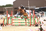 SBM_003649