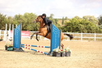 SBM_006573