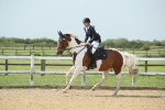 Customer Cart - 27-5-26 portfolio