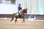 SBM_009135