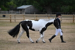 WJ6_7869