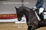 BPP_2859