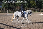 BPP_8184