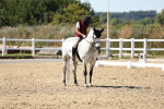SBM_003365