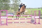CLASS 6 Senior Foxhunter/ 1.20m Open portfolio