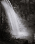 Water Spout