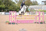 Saturday 4th - Click to View portfolio