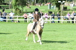 SBM_50282