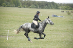 BVHT 140517  NXC -448