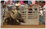 Chutes 4
