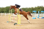 SBM_026946