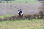 WJ6_5464