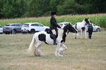 WJ7_4443