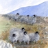 Sheep on the Hill