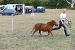 WJ6_6889