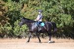 WJ6_7344