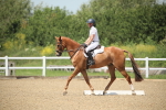 SBM_008897